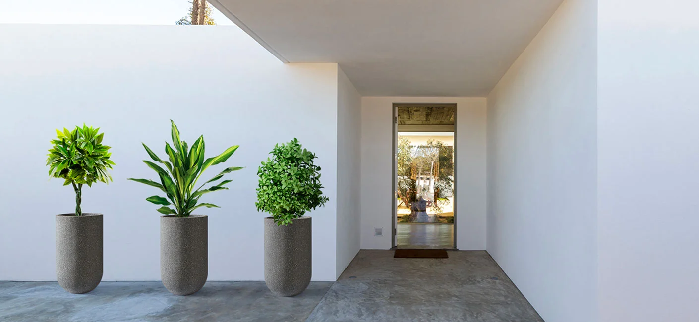 How can Bonasila’s large planters beautify your home’s entrance?