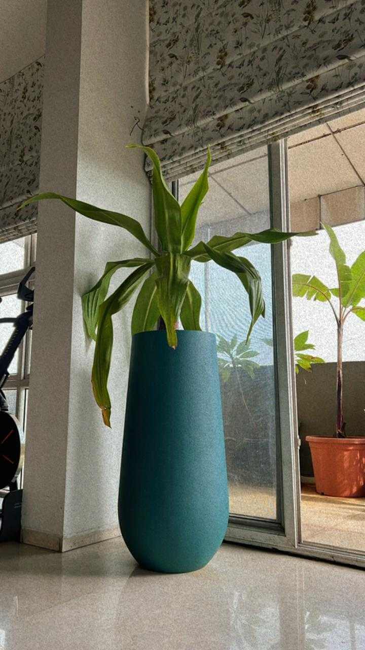 tall rectangular outdoor planters