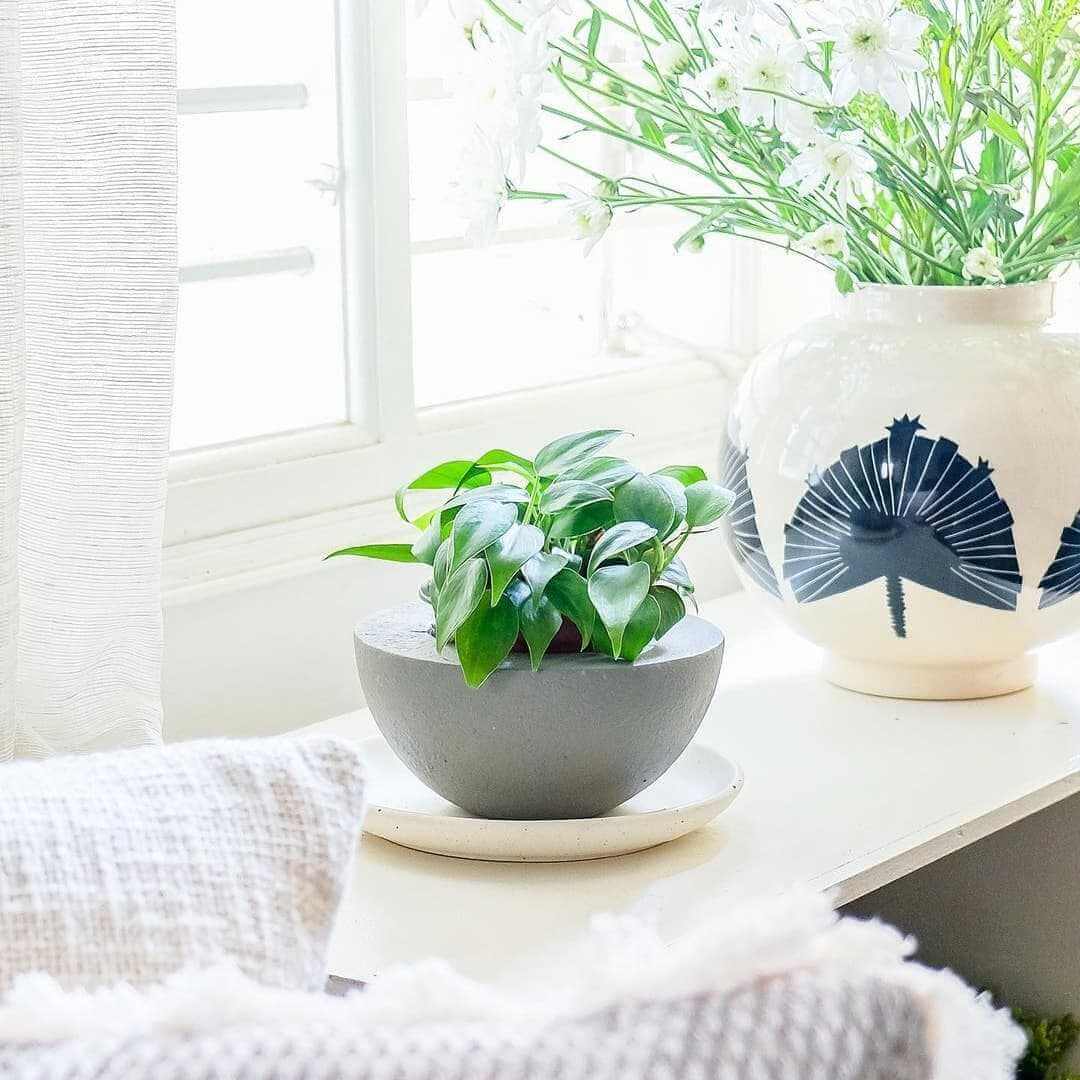 designer indoor planters