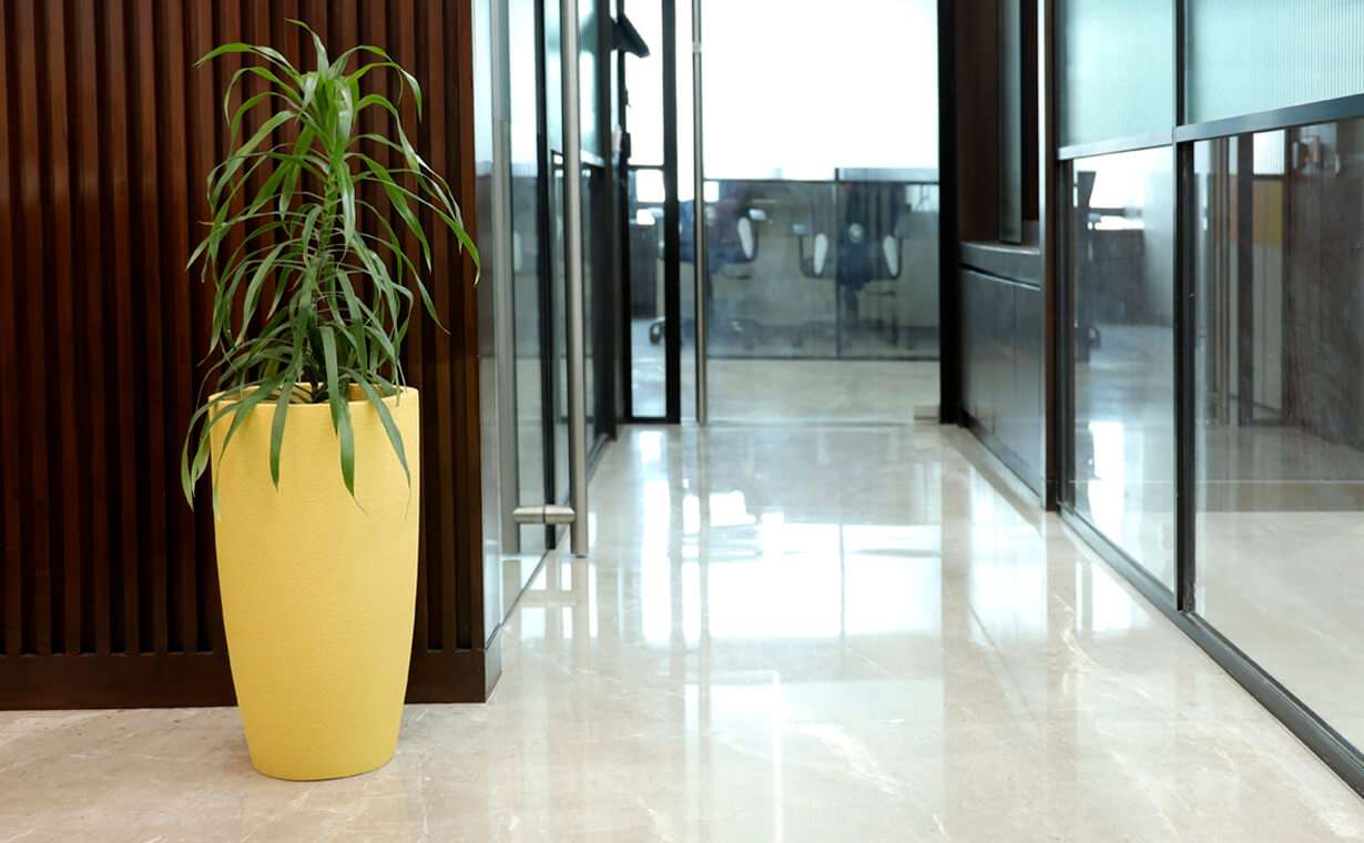 designer pots for plants