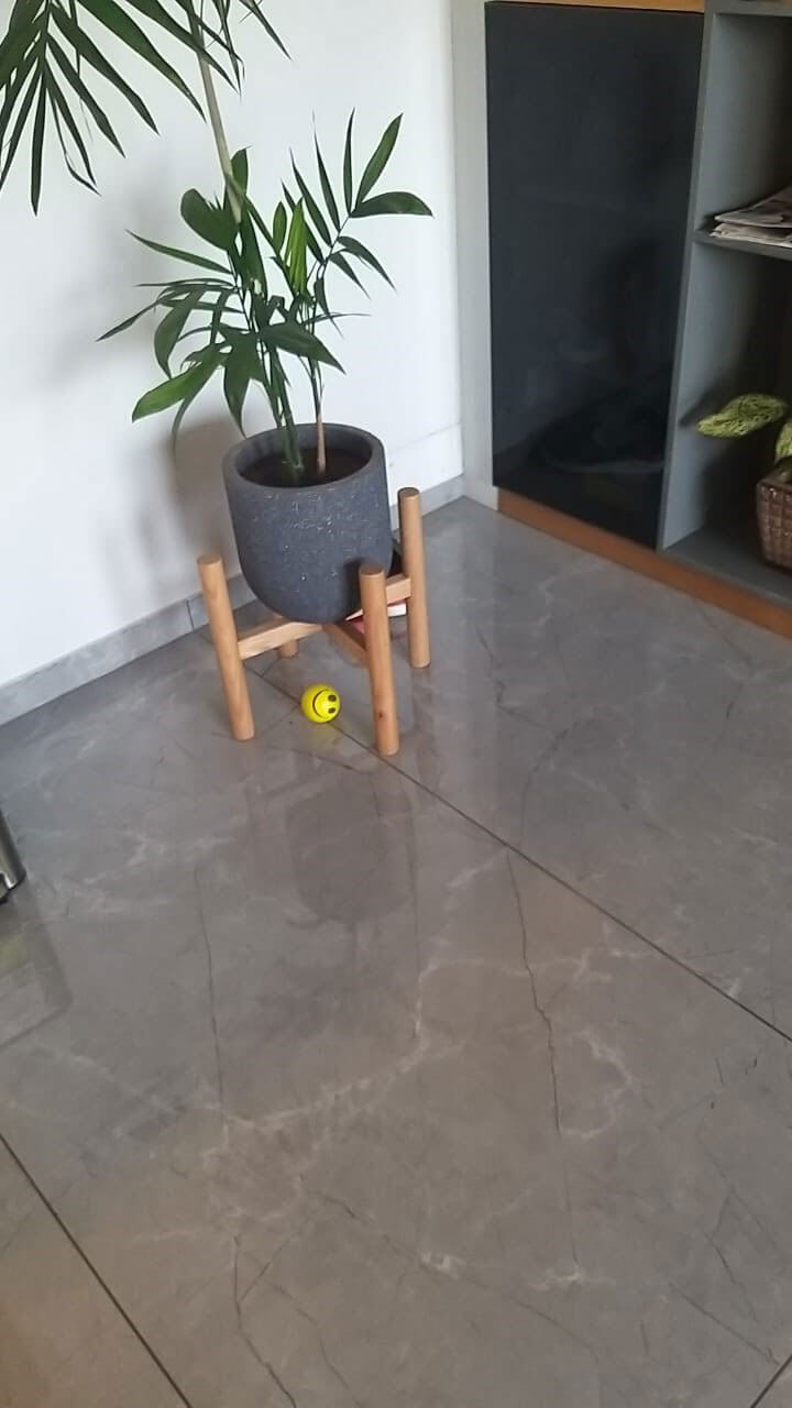 designer indoor planters