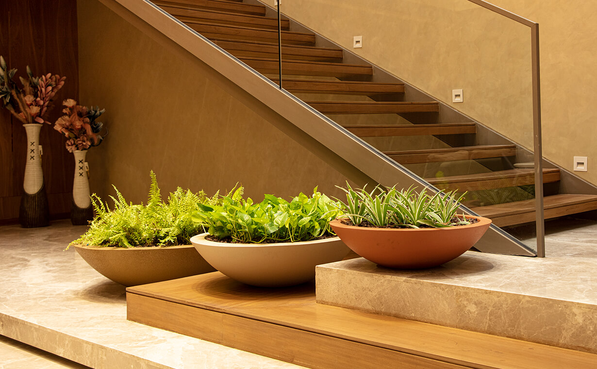 bowl shaped planters