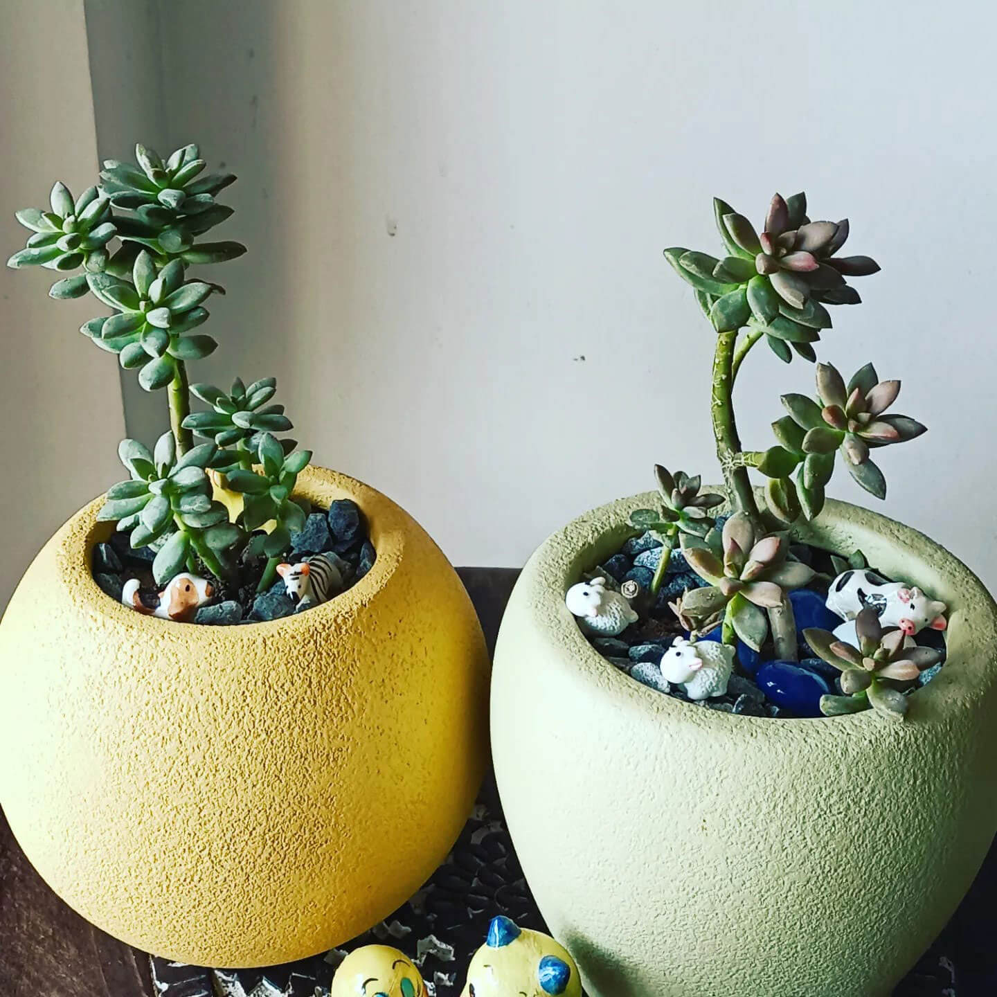 decorative planters