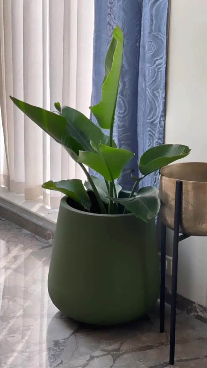 designer garden pots