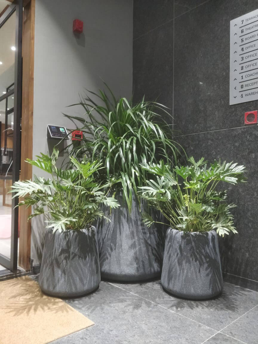 designer garden pots