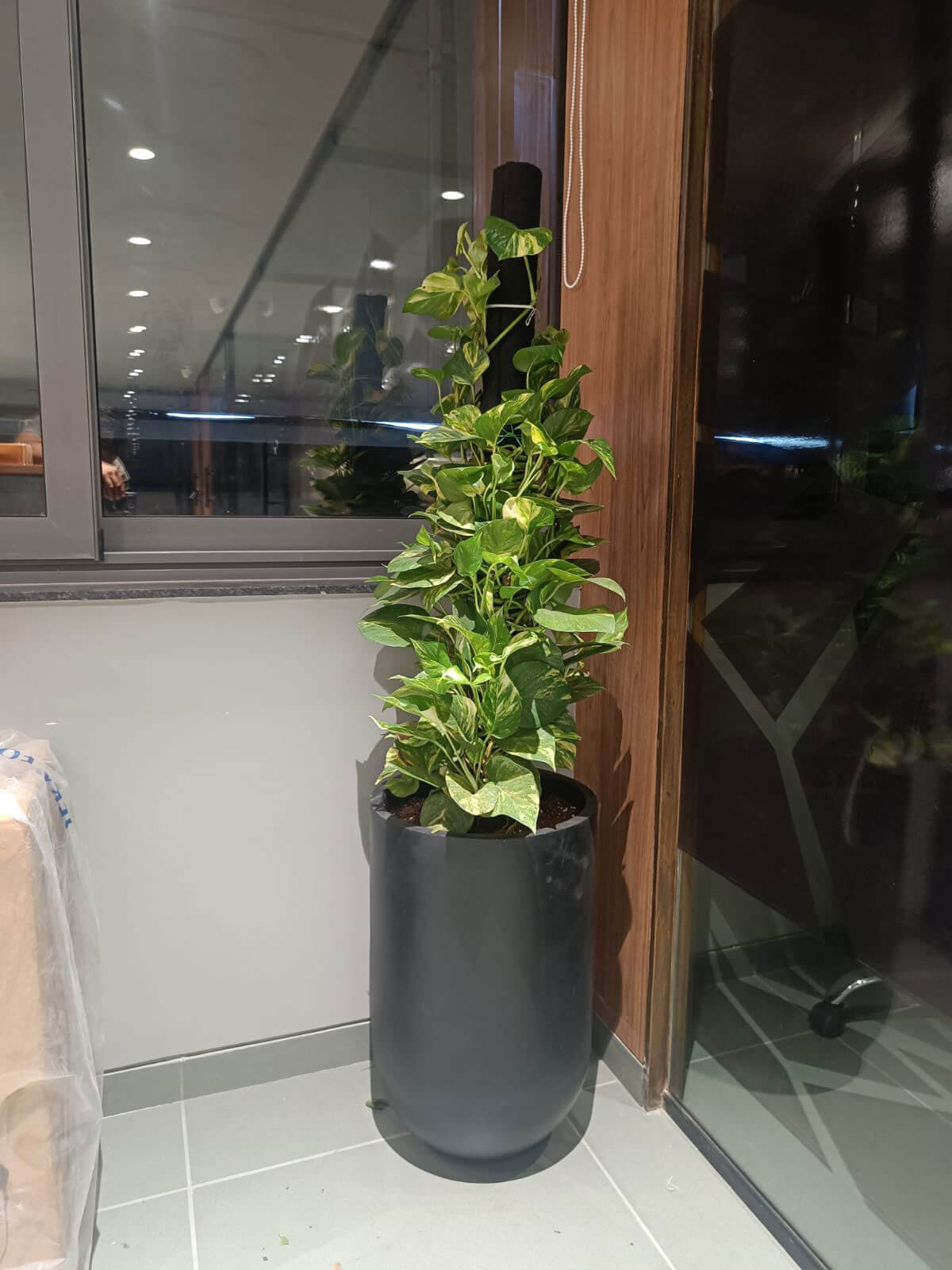 beautiful planters indoor