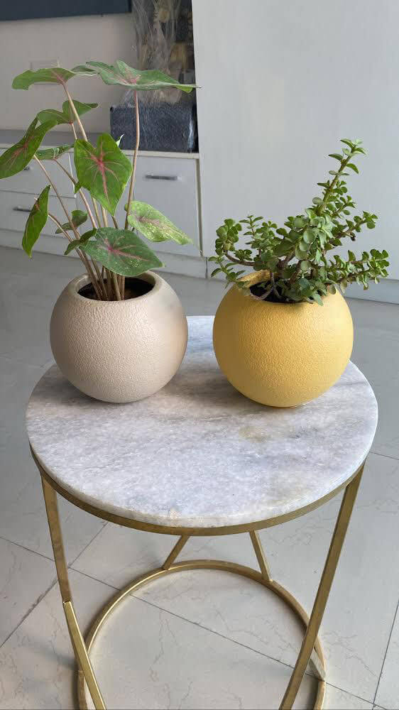 small indoor plant pots